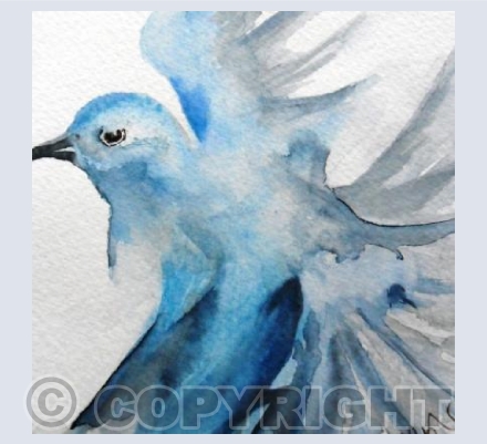 Bluebird