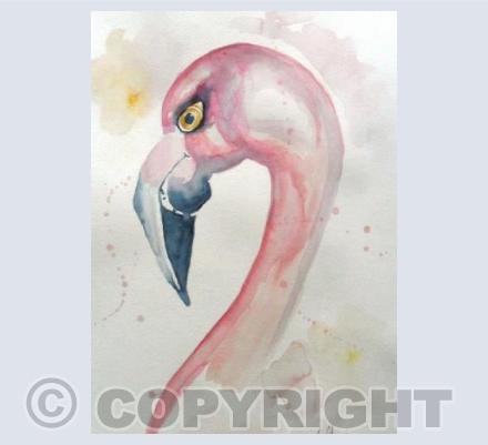 Flamingo