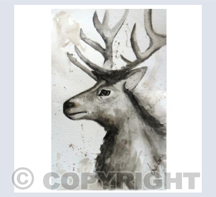 Stag square