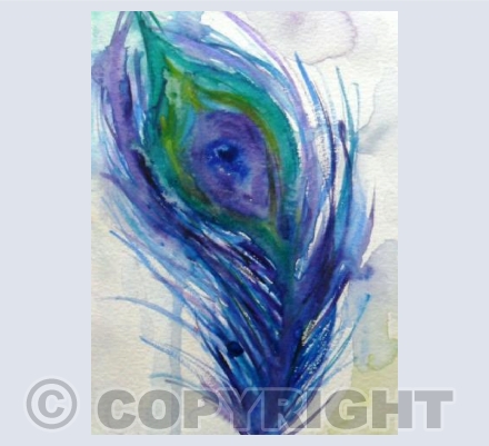 Peacock feather