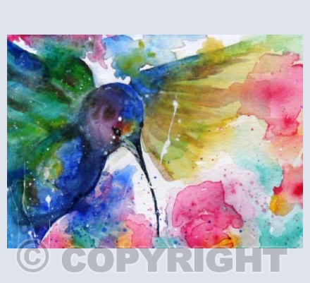 Hummingbird