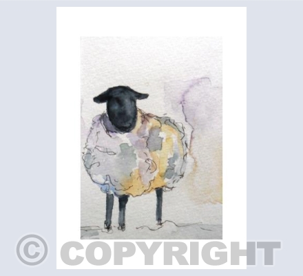 Sheep