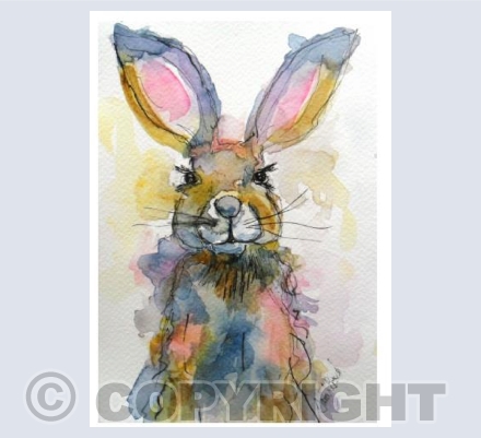 Hare 2