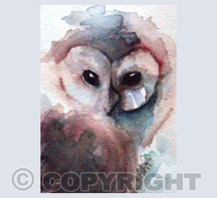 Owl