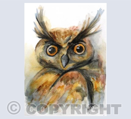 Eared Owl