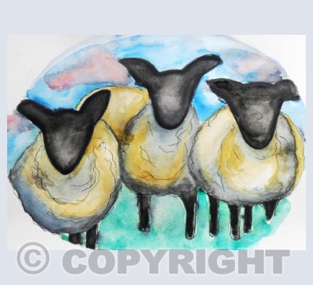 Three Sheep