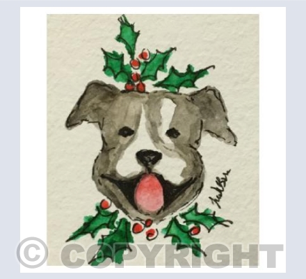 Staffy Christmas 