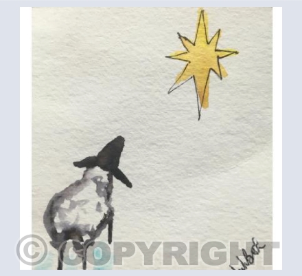 Star gazing 