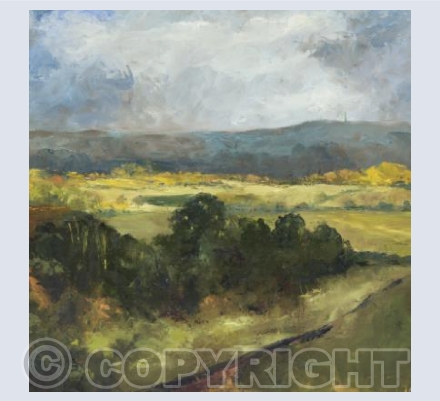 Storm on the Blackdowns