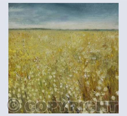 Docks and dandelions