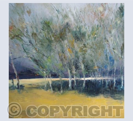 Copse in sunshine