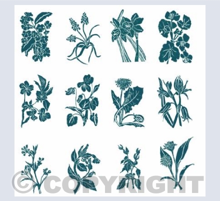 Somerset Hedgerow - Spring 2020G