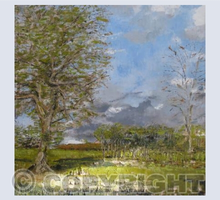 Tree in the landscape