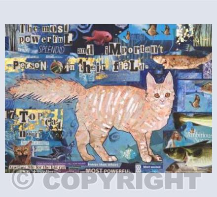 Top Cat