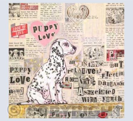 Puppy Love