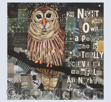 Night Owl