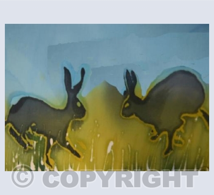 Hares in Grass