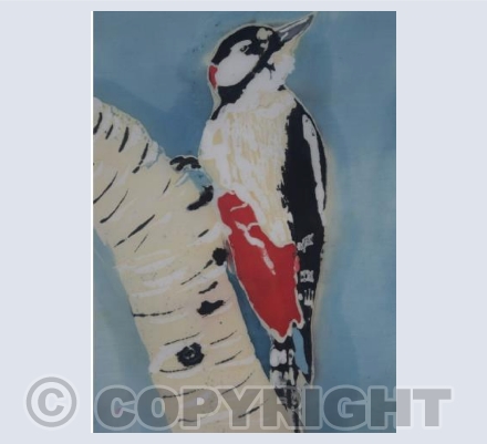 Mr Woodpecker