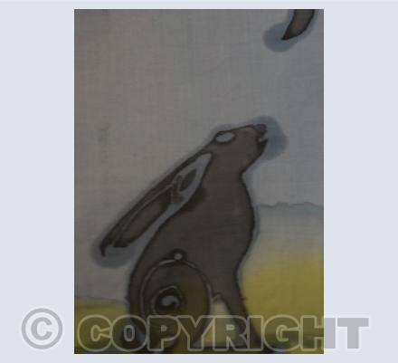 Hare in Countryside
