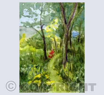 Country walk