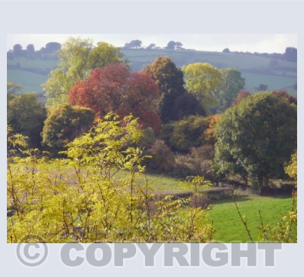 Autumn colours, Bishop's Castle, Shropshire