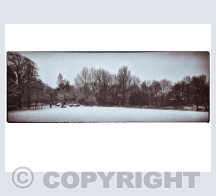 Trowbridge Park in Snow