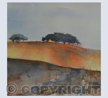Over the moor