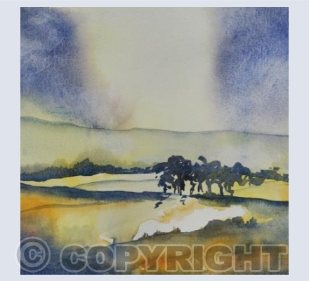 Exmoor sky