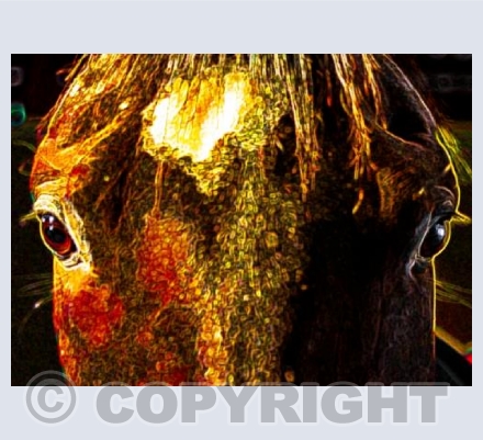 Spirit Horse