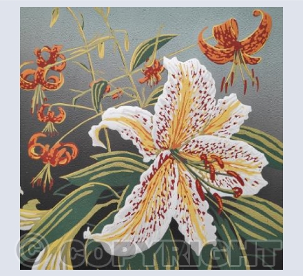 Woodland Lilies