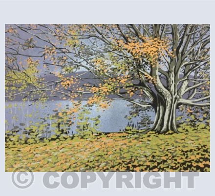 Grasmere Tree
