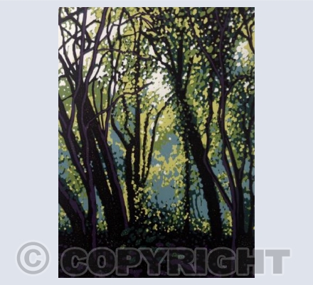 Woodland Haze