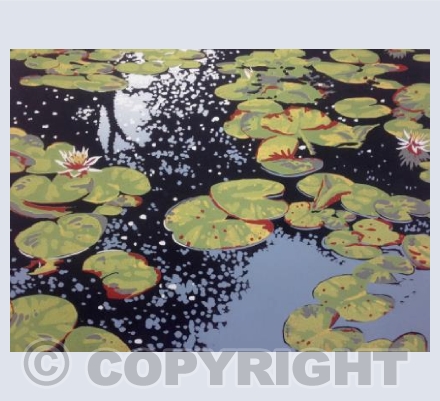 Lily Pond Reflections