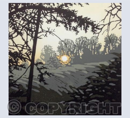 Last Light, Waddesdon