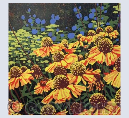 Daisy Delights