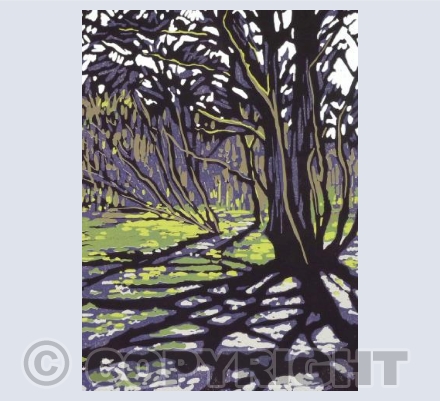 Tree Casts Shadow