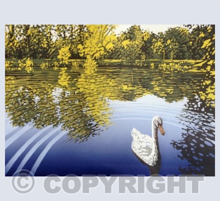 Lake View With Swan