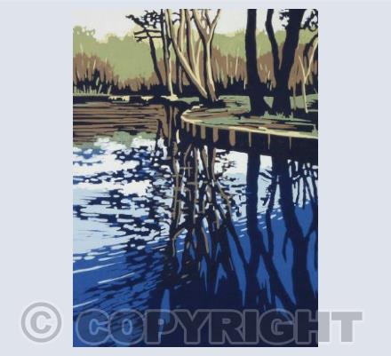 Trow Pool Reflection