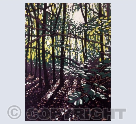 Summer Woodland Glow