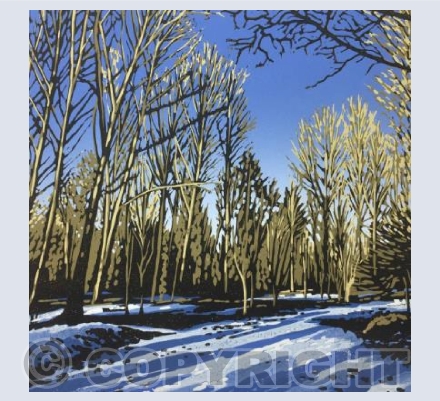 Woodland Snow