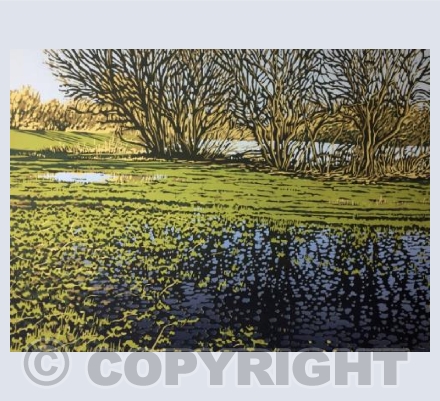 Lakeside Puddles