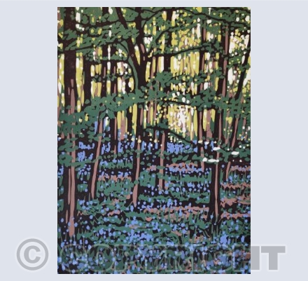 Bluebells in Shade