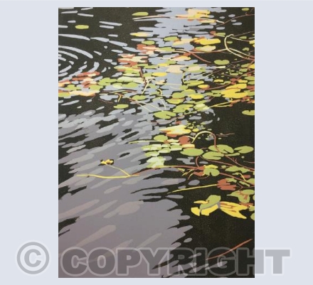 Lilies and Ripples