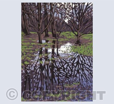Waterlogged