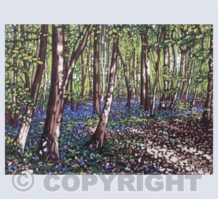 Bluebells and Sunlight