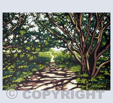 Snape Tree Shade