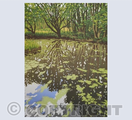 Summer Woodland Pond