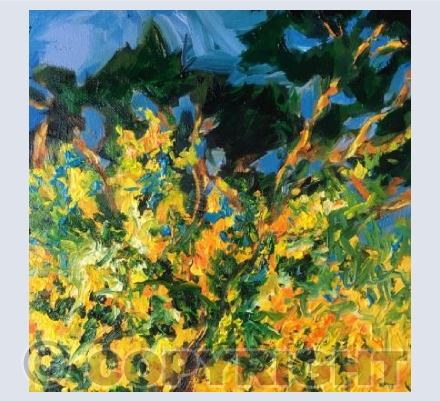 Gorse and Pine