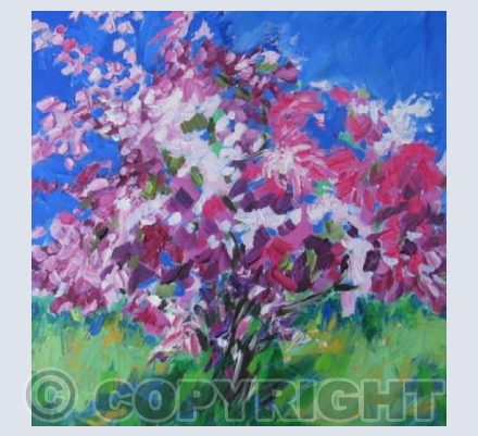 Spring Cherry