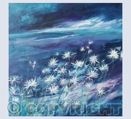 Daisies